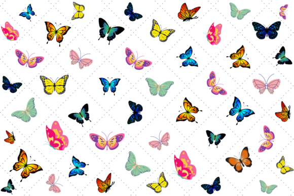 Download Butterflies everywhere. - Butterflies Collection